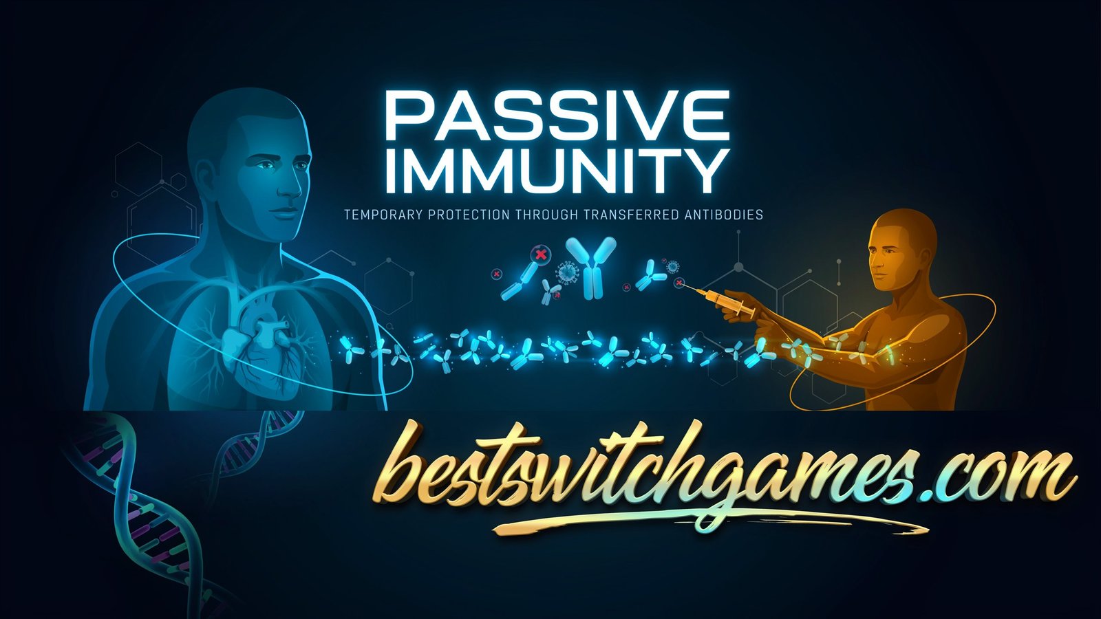 Passive Immunity