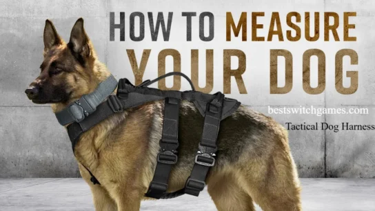 Tactical Dog Harness