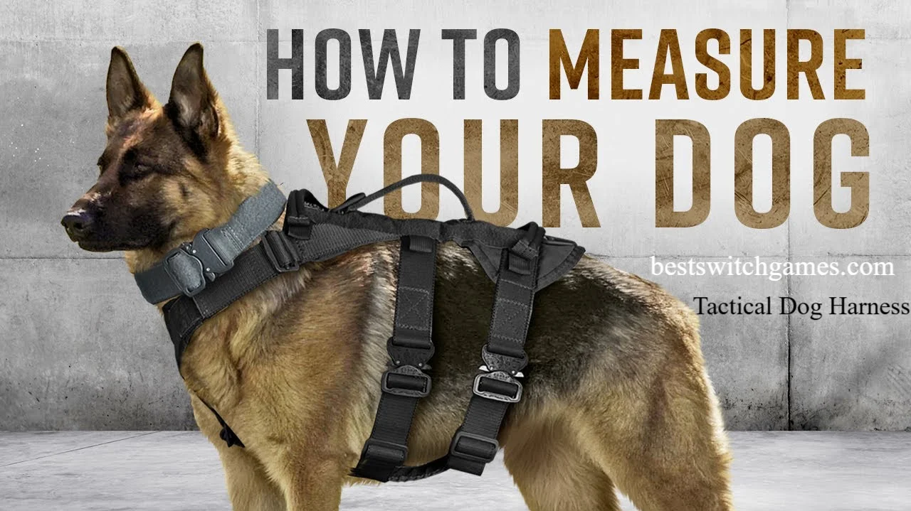 Tactical Dog Harness
